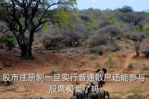 什么是注冊制改革，名詞解釋 注冊制度