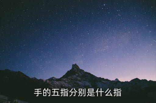 五指最后小指是什么指，五指 怎么分別