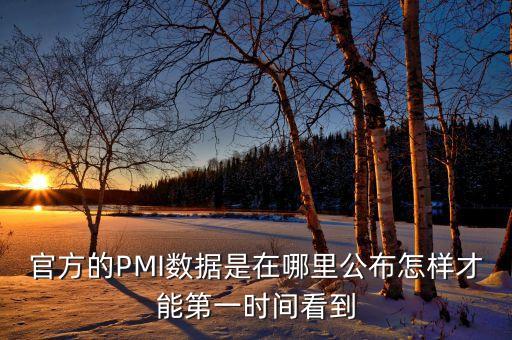 領(lǐng)先指標(biāo)是什么，官方的PMI數(shù)據(jù)是在哪里公布怎樣才能第一時(shí)間看到