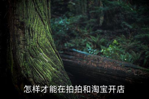 阿里傳什么時(shí)候出版，圣杯真的是個(gè)女人嗎