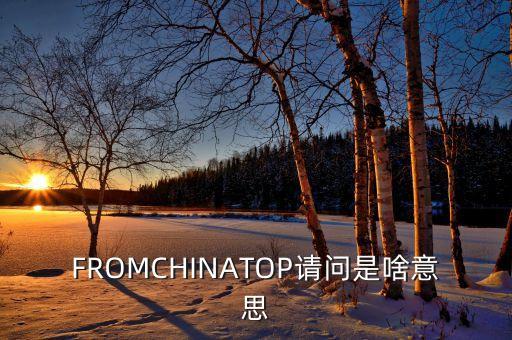 空翻多是什么意思，F(xiàn)ROMCHINATOP請問是啥意思