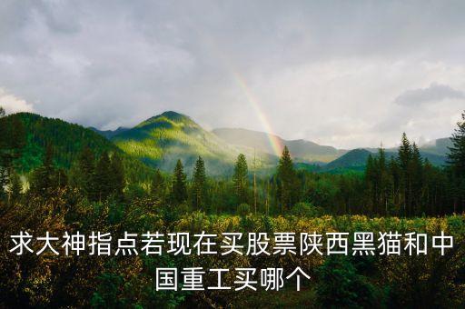 求大神指點(diǎn)若現(xiàn)在買股票陜西黑貓和中國(guó)重工買哪個(gè)