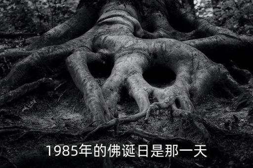 趙人偉1985說過什么，這是個怎樣的時(shí)代Fr19852008