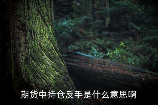 期貨中的反手什么意思，期貨中持倉反手是什么意思啊