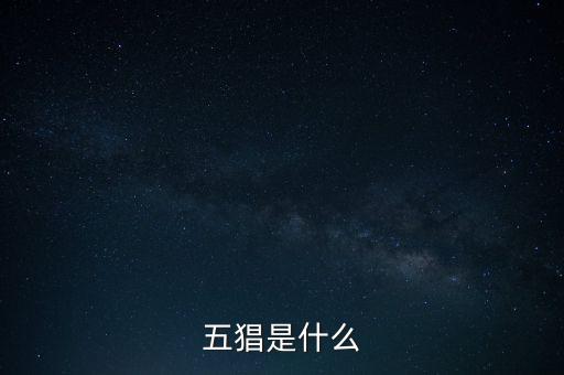 什么是創(chuàng)智5，YY上面的五項(xiàng)創(chuàng)始人是誰