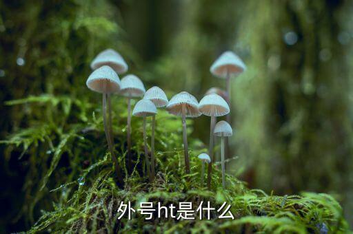 買受人號(hào)碼ht是什么，備案合同中買受人號(hào)碼HT