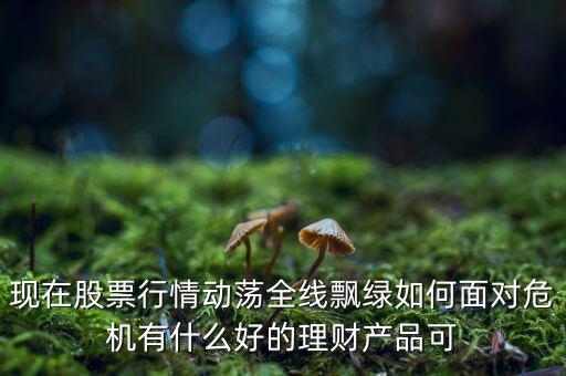 股市全盤飄綠明天股東有什么反應，現(xiàn)在股票行情動蕩全線飄綠如何面對危機有什么好的理財產品可