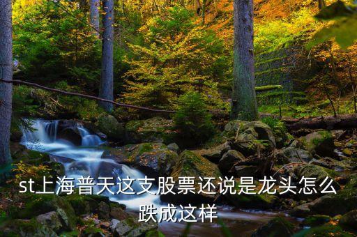 上海普天什么時間上市，st上海普天這支股票還說是龍頭怎么跌成這樣