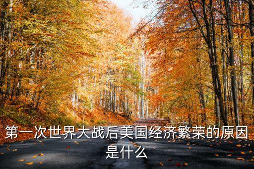 第一次世界大戰(zhàn)后美國經(jīng)濟(jì)繁榮的原因是什么