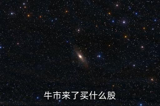 牛市后期買(mǎi)什么股票，牛市來(lái)了買(mǎi)什么股