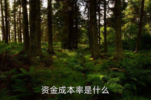什么是資本成本率，資本成本與資本成本率區(qū)別