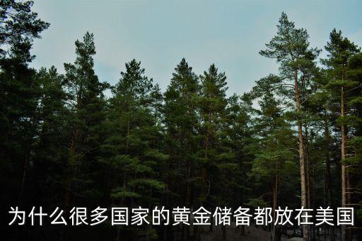 美國(guó)為什么會(huì)有那么多黃金儲(chǔ)備，美國(guó)為何有那么大的黃金儲(chǔ)備謝謝了