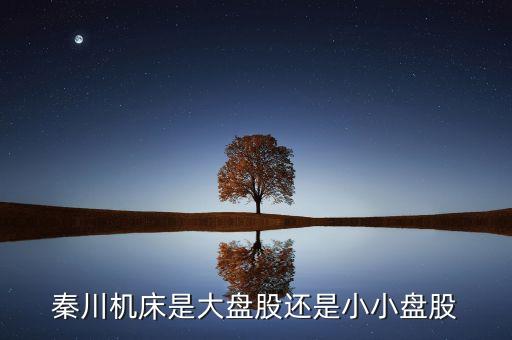 秦川機床是什么板塊的，600248是屬于什么板塊的股有潛力沒的能看高到多少價位