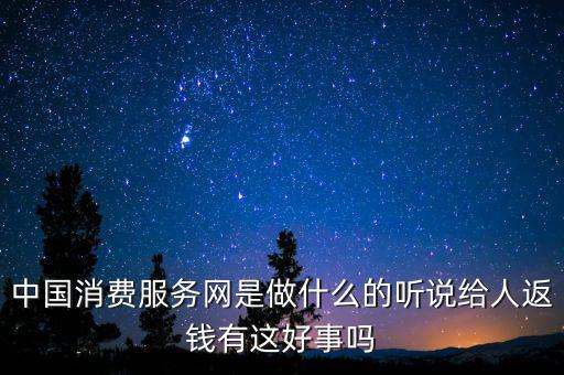 中國(guó)消費(fèi)服務(wù)聯(lián)盟養(yǎng)是什么，什么是消費(fèi)聯(lián)盟