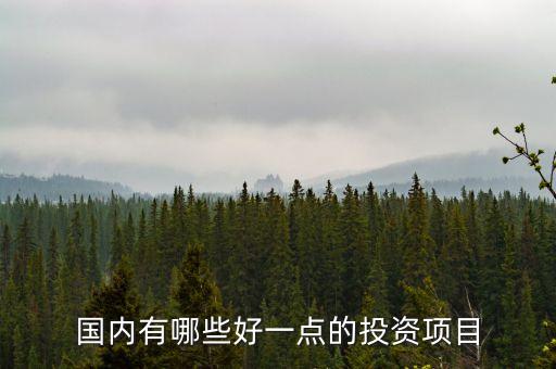 中國人投資什么好，國內(nèi)有哪些好一點(diǎn)的投資項(xiàng)目