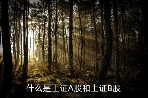 什么股票屬于上證，什么股票代碼屬于上證指數(shù)1A0001