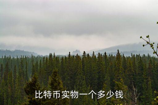 比特幣實(shí)物一個(gè)多少錢