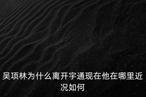 吳項林為什么離開宇通現在他在哪里近況如何