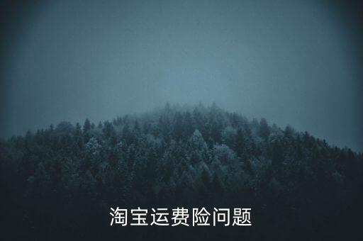 淘寶什么時候推出運(yùn)費(fèi)險，tb的運(yùn)費(fèi)險怎么回事