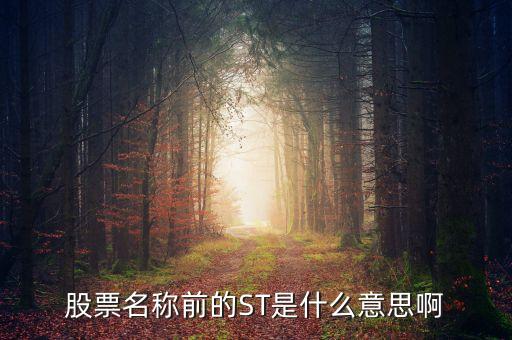 股票名字前加st什么意思，股票前加ST是什么意思