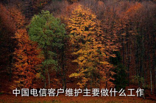 客戶(hù)維護(hù)都干什么，中國(guó)電信客戶(hù)維護(hù)主要做什么工作