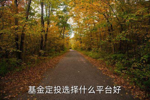 基金定投選擇什么平臺好