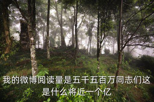 將近一個(gè)億啊什么梗，朋友圈最近有個(gè)一個(gè)億的梗是怎么回事什么設(shè)一個(gè)能實(shí)現(xiàn)的短期目