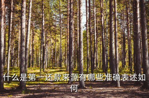 什么是第一還款來源有哪些準(zhǔn)確表述如何