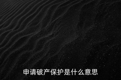 申請破產(chǎn)保護(hù)是什么意思