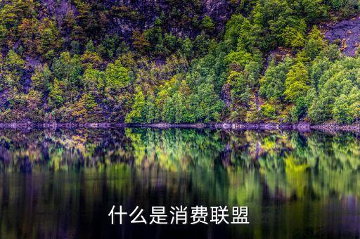 什么是消費聯(lián)盟