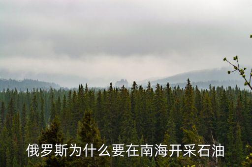 俄越為什么在南海采油，越南在南海開采石油我國為什么不開采