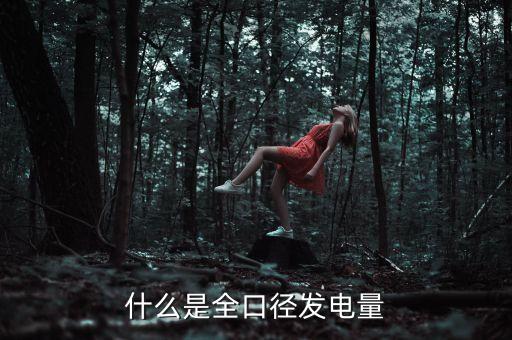 什么是全口徑發(fā)電量