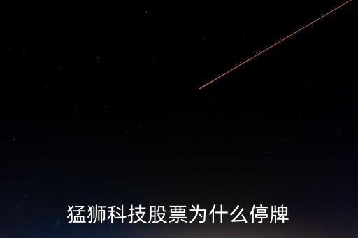 為什么猛獅科技那么牛，猛獅科技股票為什么停牌