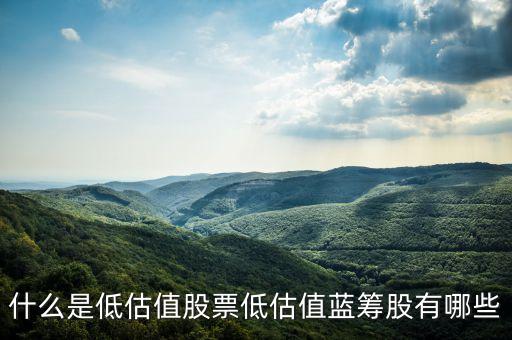 低估值股票是什么意思，什么是低估值股票低估值藍(lán)籌股有哪些