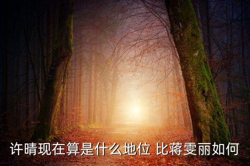 徐晴什么，許晴主演過的電視劇