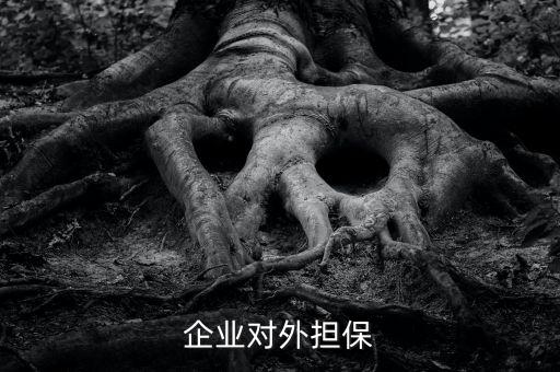 企業(yè)對外擔保
