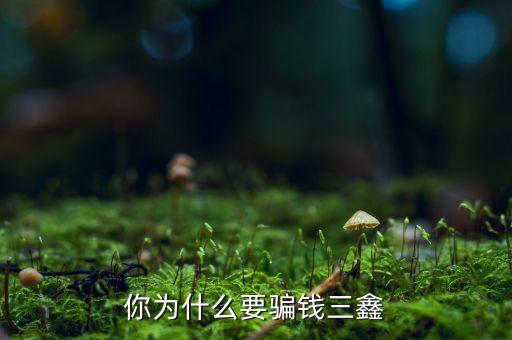 為什么中航三鑫，你為什么要騙錢三鑫