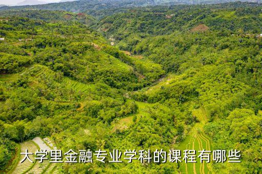 黑大金融專業(yè)大二都有什么專業(yè)課，金融專業(yè)有哪些課程