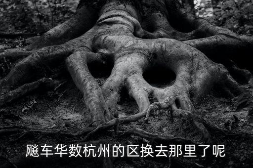 華數(shù)什么時(shí)候搬到濱江，杭州華數(shù)總部在什么路上