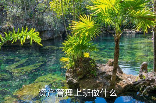 資產(chǎn)管理做什么，資產(chǎn)管理上班做什么