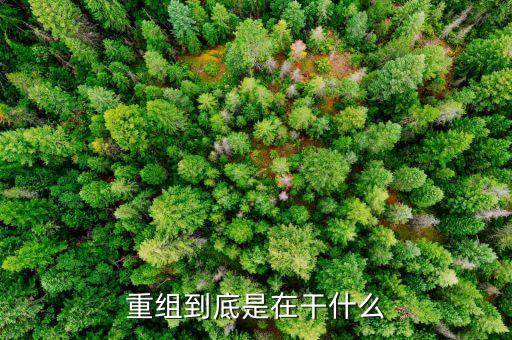 國(guó)電電力什么時(shí)候重組，國(guó)電電力股會(huì)重組嗎后市怎么樣6元進(jìn)的