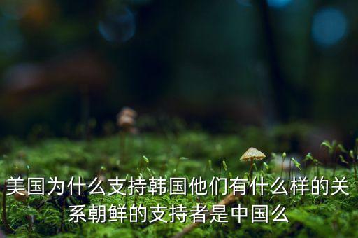 美國為什么援助朝鮮，美國為什么支持韓國他們有什么樣的關(guān)系朝鮮的支持者是中國么