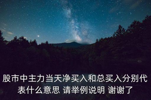 股市中主力當天凈買入和總買入分別代表什么意思 請舉例說明 謝謝了