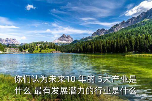 你們認為未來10 年的 5大產(chǎn)業(yè)是什么 最有發(fā)展?jié)摿Φ男袠I(yè)是什么