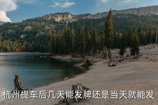 杭州車牌什么時(shí)候發(fā)放，杭州車牌拍好多久拿到