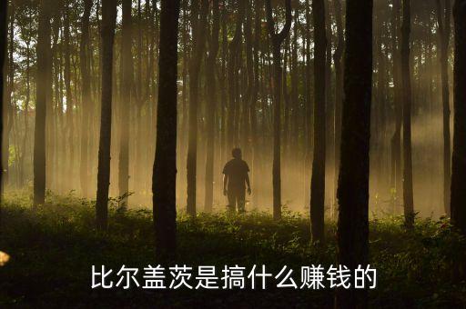 比爾蓋茨是搞什么賺錢(qián)的