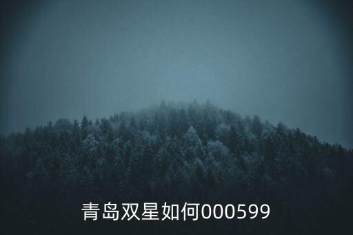 000599青島雙星集團(tuán)是什么感受，青島雙星如何000599