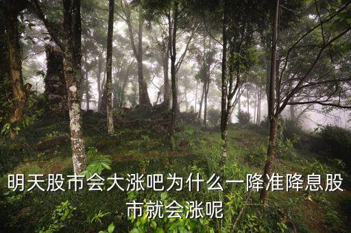 為什么降息股市會(huì)猛漲，央行降息為什么能使股票價(jià)格上漲