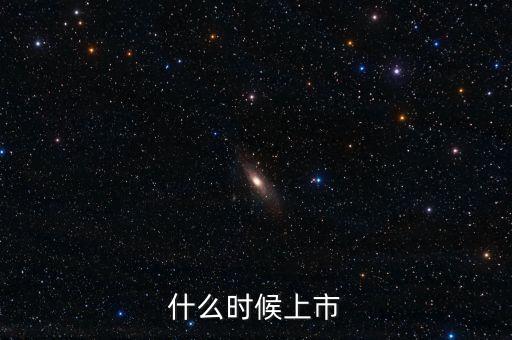什么時候上市