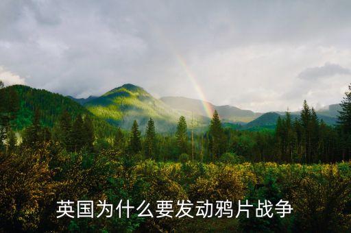 英國為什么要發(fā)動鴉片戰(zhàn)爭